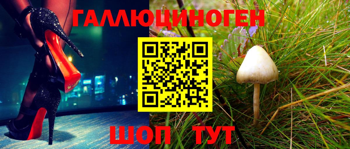 Галлюциногенные грибы GOLDEN TEACHER  Вход с VPN  Киселёвск 